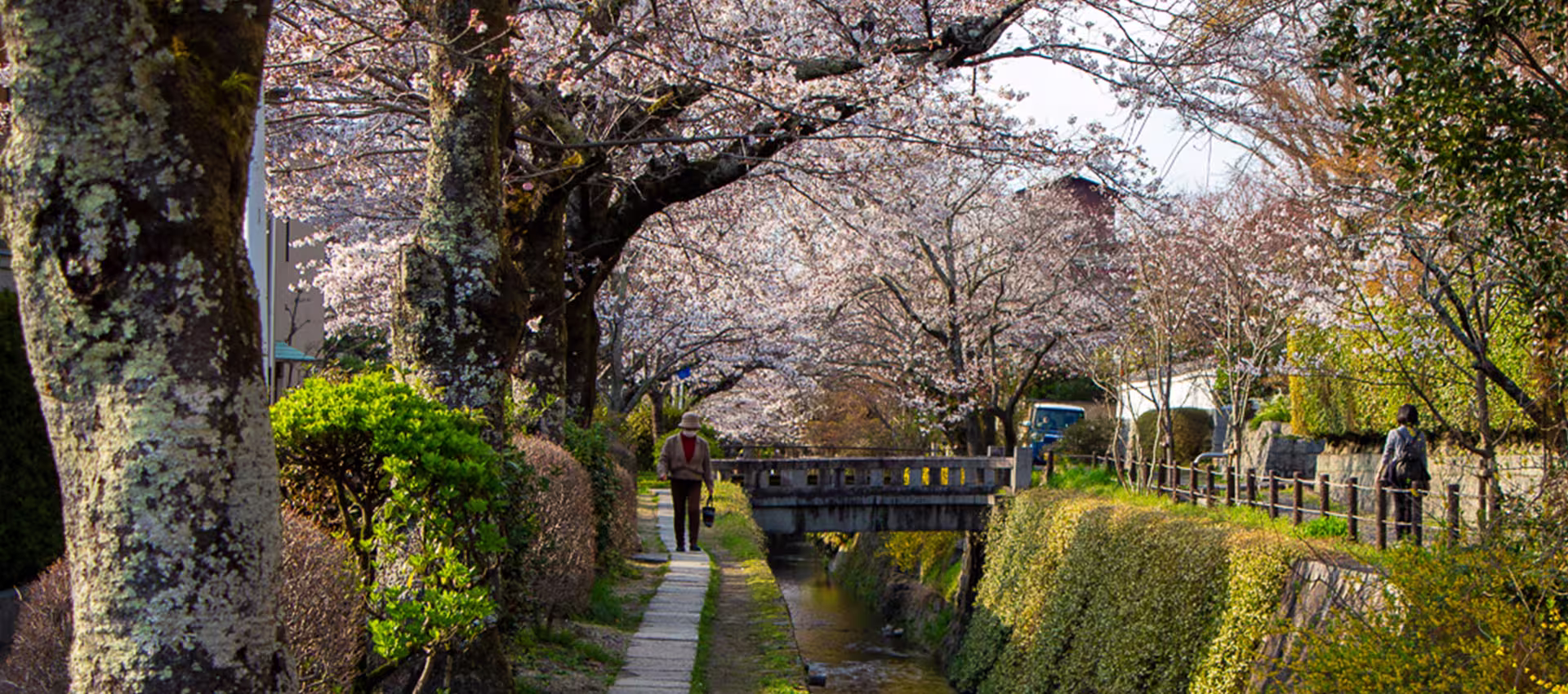 Philosopher's Path, Kyoto