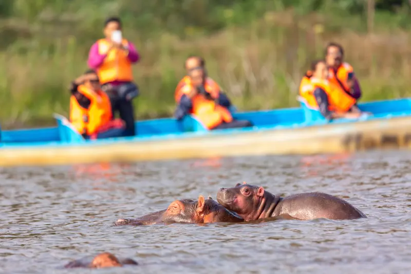 Tourists on a boat safari spotting hippos on Lake Naivasha near the rally route