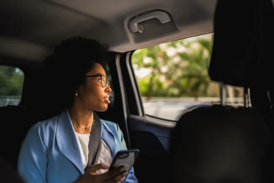 Rhinos out in the wild