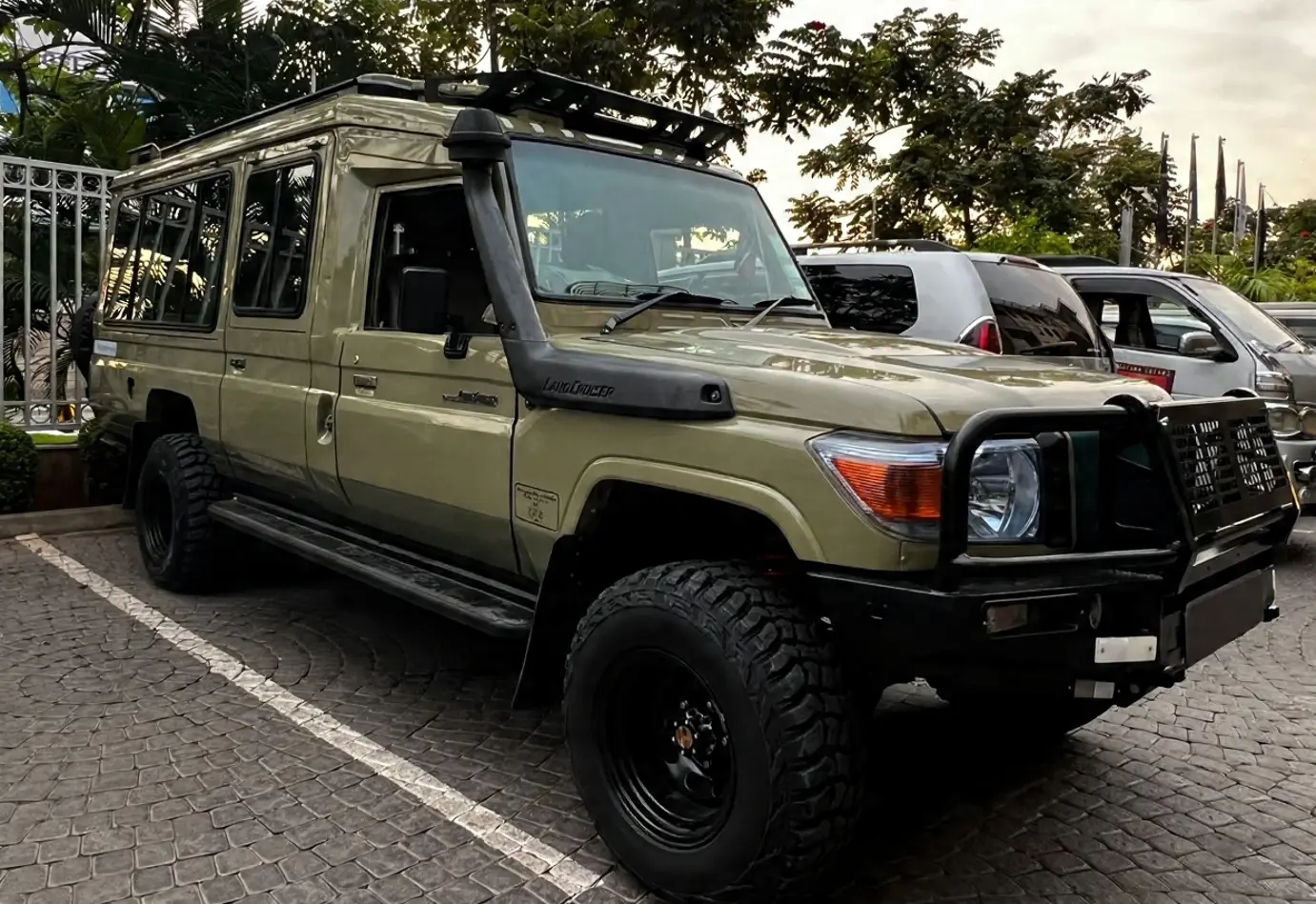 Rhinos out in the wild