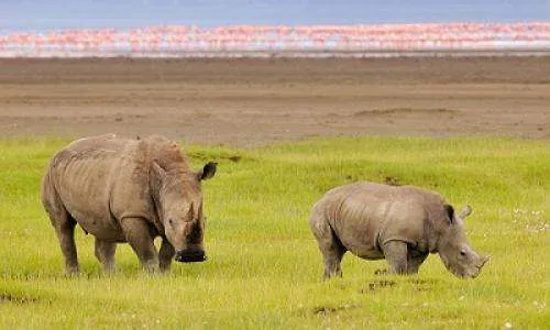 <br />
<b>Deprecated</b>:  htmlspecialchars(): Passing null to parameter #1 ($string) of type string is deprecated in <b>/home/hikenpic/public_html/tour/detail/index.php</b> on line <b>1027</b><br />
