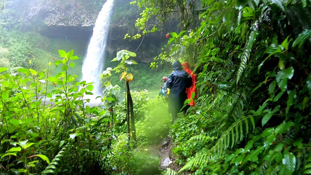 Mt. Kenya & Castle Forest Hike