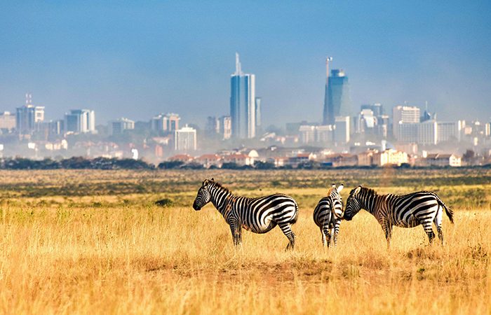Nairobi City Day Tour
